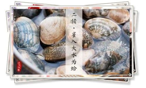 Bivalves:The Silent Architects of Aquatic Ecosystems