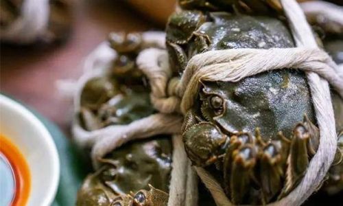 The Ultimate Guide to Preserving Tied Crabs:Expert Tips for Freshness and Quality