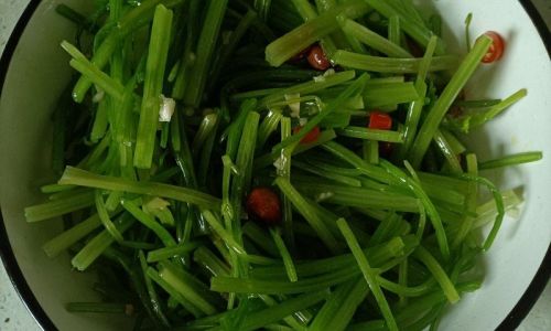 Mastering the Art of Crafting Irresistible Celery Salad:A Comprehensive Guide to Flavor and Texture