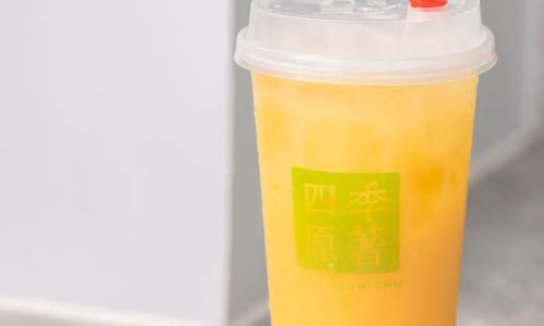 Half-Cup Full of Delight:Exploring the World of Bubble Tea with Abundant Toppings