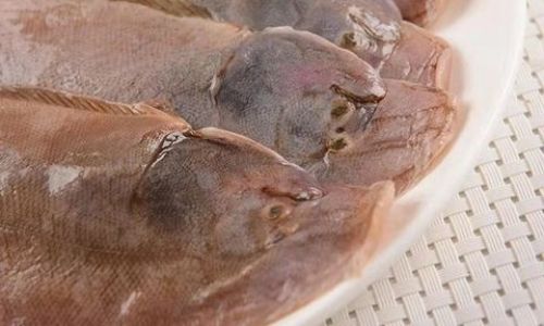 Decoding the Mystery of Ban Yu:Unveiling the True Identity of This Enigmatic Flatfish