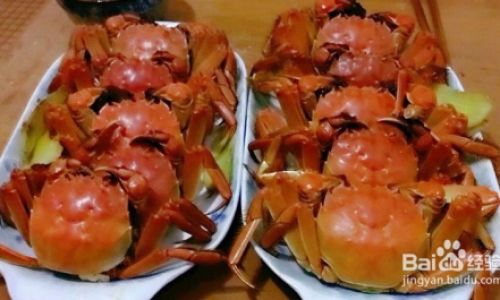 The Ultimate Guide to Preserving Snow Crab:Expert Tips for Maintaining Freshness and Flavor