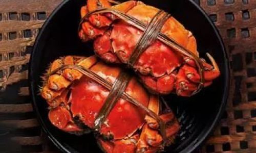 The Ultimate Guide to Preserving Snow Crab:Expert Tips for Maintaining Freshness and Flavor