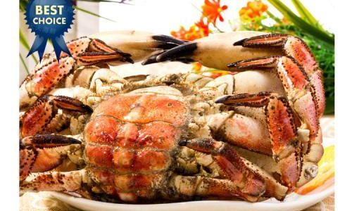 The Ultimate Guide to Preserving Snow Crab:Expert Tips for Maintaining Freshness and Flavor