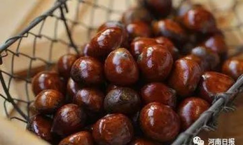 Preserving Cooked Chestnuts Without a Refrigerator:Creative and Effective Methods