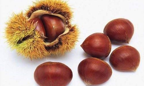 Can You Still Eat Hardened Chestnuts?A Comprehensive Guide to Storage,Safety,and Culinary Uses