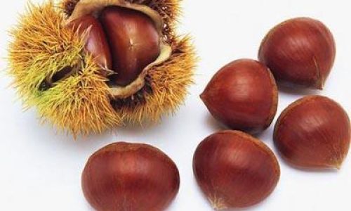The Ultimate Guide to Preserving Chestnuts for Long-Term Storage:Methods,Tips,and Best Practices