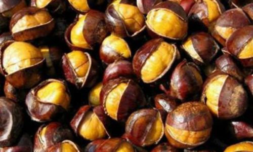 The Ultimate Guide to Preserving Chestnuts for Long-Term Storage:Methods,Tips,and Best Practices