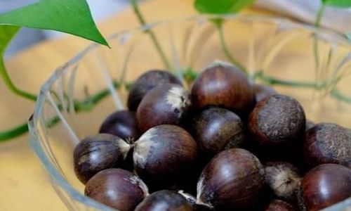 Mastering the Art of Cooking Chestnuts for Effortless Peeling:A Comprehensive Guide