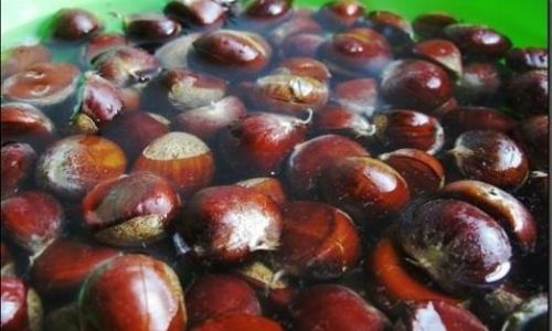 Mastering the Art of Cooking Chestnuts for Effortless Peeling:A Comprehensive Guide