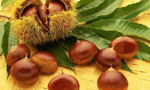 The Art of Drying Chestnuts:Techniques to Enhance Flavor and Preserve Quality