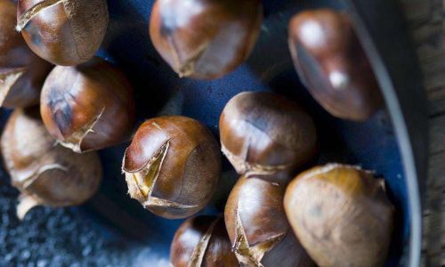 The Art of Drying Chestnuts:Techniques to Enhance Flavor and Preserve Quality