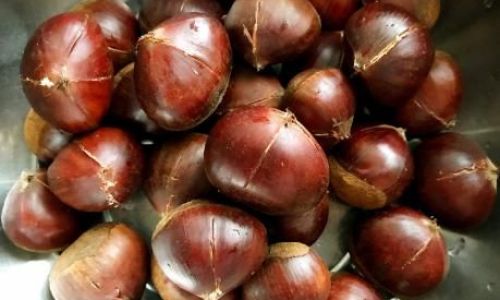 The Great Debate:Boiling Chestnuts in Cold Water vs.Hot Water