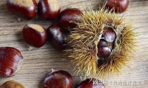 How Long Do Chestnuts Last in the Freezer?A Comprehensive Guide to Storage and Preservation