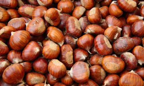 How Long Do Chestnuts Last in the Freezer?A Comprehensive Guide to Storage and Preservation