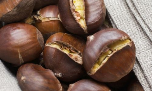 Delicious Ways to Prepare and Enjoy Chestnuts:A Culinary Guide to Sweet and Savory Masterpieces