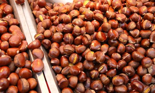 Delicious Ways to Prepare and Enjoy Chestnuts:A Culinary Guide to Sweet and Savory Masterpieces