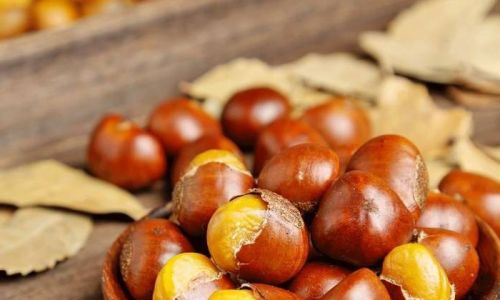 The Ultimate Guide to Cooking Chestnuts for Effortless Peeling:Techniques,Tips,and Tricks