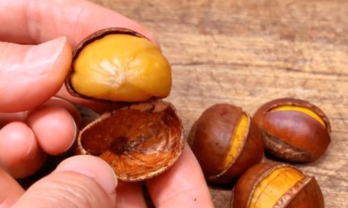 Mastering the Art of Chestnut Peeling:Effective Techniques and Tips for Perfectly Shelled Nuts