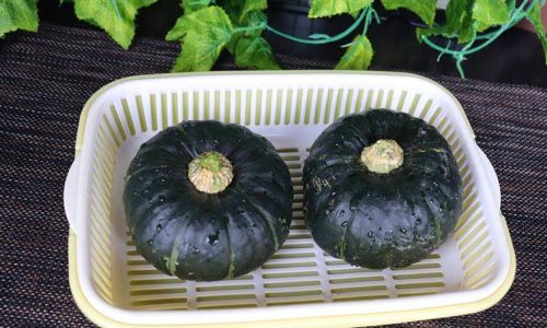 Delicious and Nutritious:A Comprehensive Guide to Cooking Chestnut Kabocha Squash Beibei Pumpkin)