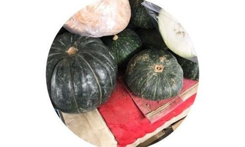 How to Select the Perfect Chestnut Squash:A Comprehensive Guide to Flavor and Quality
