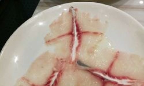 Mastering the Art of Cooking Grouper:Techniques and Recipes for a Delicious Feast