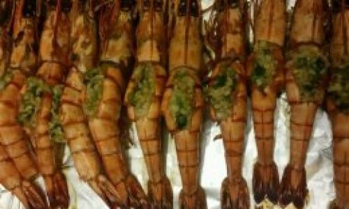 Understanding Black Tiger Shrimp