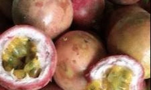 How to Keep Passion Fruit Fresh:Expert Tips and Tricks for Longevity