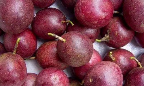 From Tart to Tempting:Innovative Ways to Savor Sour Passion Fruit