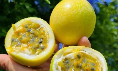 Can You Eat Soft Passion Fruit?A Comprehensive Guide to Determining Edibility and Safety