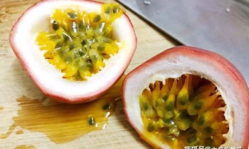 The Ultimate Guide to Freezing Passion Fruit:Preserving Flavor and Nutrients for Long-Term Use