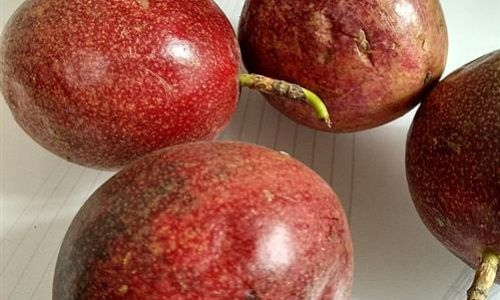 How to Extend the Shelf Life of Passion Fruit:Expert Tips and Techniques