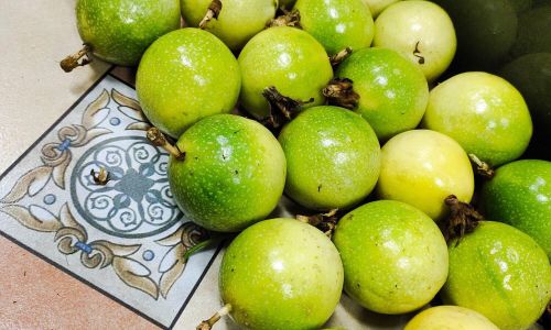 Prolonging the Sweetness:A Comprehensive Guide to Extending the Shelf Life of Passion Fruit