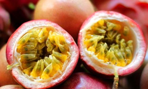 How Long Does Passion Fruit Last?A Comprehensive Guide to Storage and Shelf Life