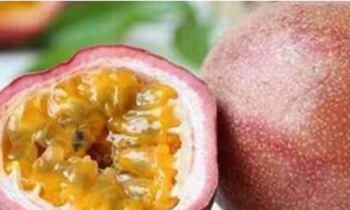 Can Passion Fruit Be Refrigerated?A Comprehensive Guide to Storage and Shelf Life