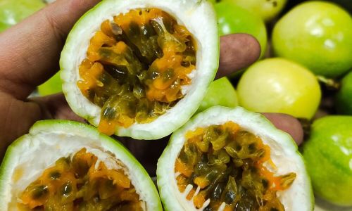 The Ultimate Guide to Storing Passion Fruit:Methods and Longevity Explained