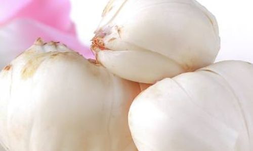 Edible Parts of the Lily Plant:A Comprehensive Guide to Consumption and Culinary Uses