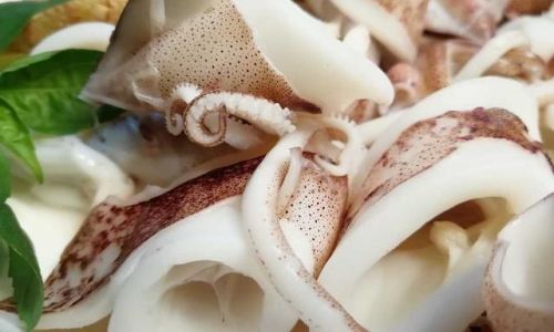 Mastering the Art of Preparing Boiled Squid:A Step-by-Step Guide to Perfect 白灼鱿鱼