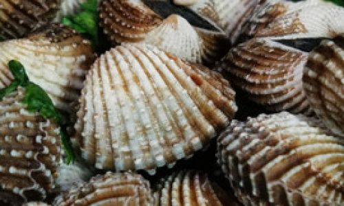Mastering the Art of Cooking Boiled Blood Clams:A Step-by-Step Guide