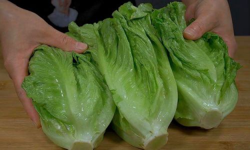 Mastering the Art of Blanched Iceberg Lettuce:A Simple and Delicious Homemade Recipe