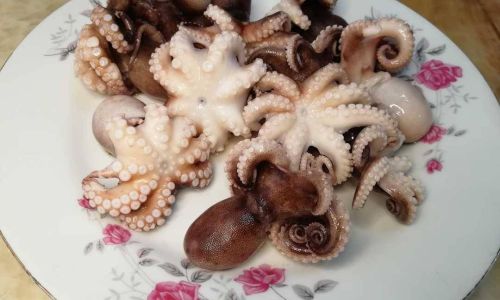 Mastering the Art of Boiled Octopus:A Step-by-Step Guide to Perfect Tenderness and Flavor