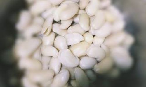 Mastering the Art of Cooking White Kidney Beans:A Comprehensive Guide