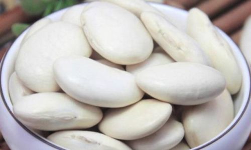 Mastering the Art of Cooking White Kidney Beans:A Comprehensive Guide