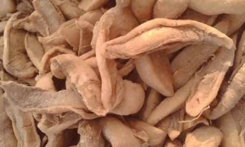 The Ultimate Guide to Drying and Preserving White Jade Mushrooms for Long-Term Storage