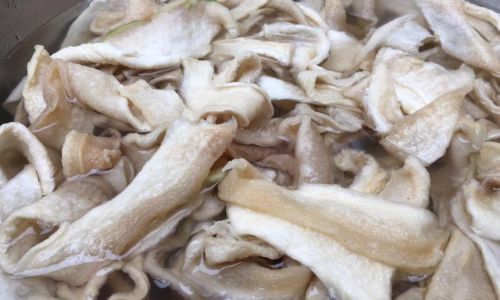 The Ultimate Guide to Drying and Preserving White Jade Mushrooms for Long-Term Storage