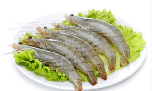 The Ultimate Guide to Freezing and Preserving White Shrimp for Long-Lasting Freshness