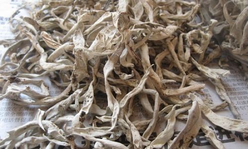 Unveiling the Enigma of Baixue Tea:A Journey Through Altitude,Tradition,and Flavor