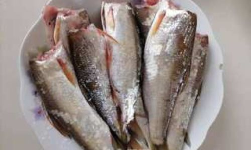 Mastering the Art of Cooking Whitebait:A Comprehensive Guide to Delicious Recipes and Techniques