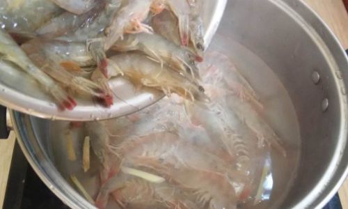 Mastering the Art of Boiling Shrimp:Perfect Timing for Tender,Juicy Results Every Time