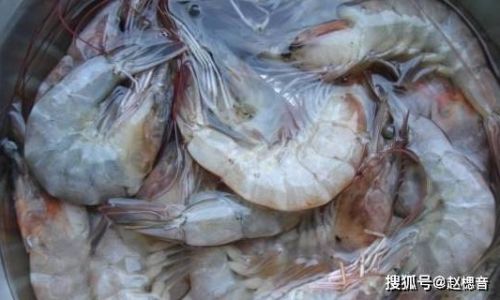 Mastering the Perfect Boil:How Long to Cook Shrimp in Plain Water for Tender,Juicy Results